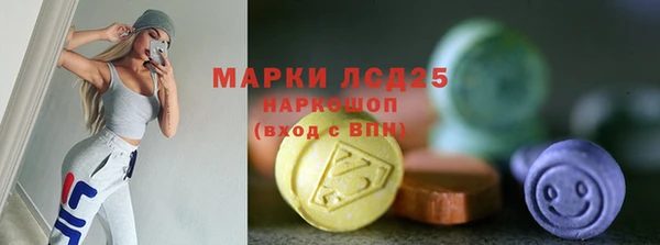 индика Болохово