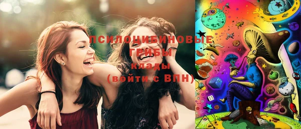 гашик Богородицк