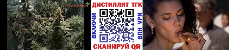 закладки  Вуктыл  ТГК вейп с тгк 