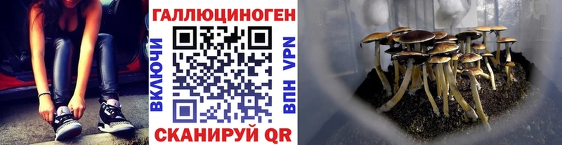 это наркотические препараты  купить закладку  Вуктыл  Галлюциногенные грибы мицелий 